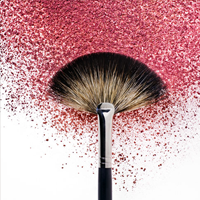 Make-Up Brush To Apply Your Cosmetics