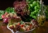 Beyonce’s Strict 22-Day Diet Sparks Criticism